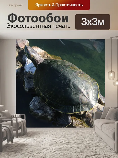 Фотообои Черепаха