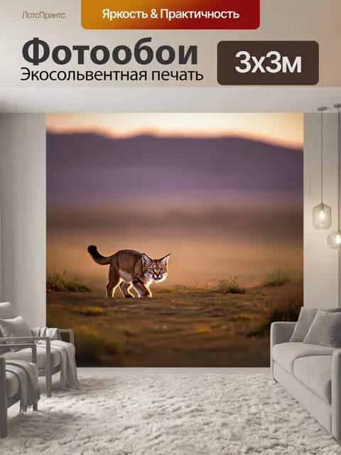 Фотообои в вечернем свете, когда небо становится оранжевым и пурпурным, рысь в одиночестве обходит свою территорию