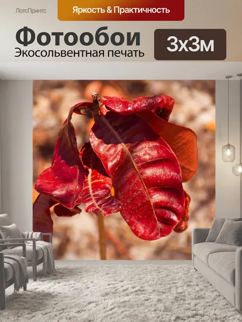 Фотообои Листы