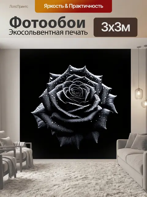 Фотообои в стиле готический, с изображением черной розы с каплями росы на ее лепестках