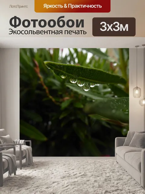 Фотообои Увеличительные капли дождя