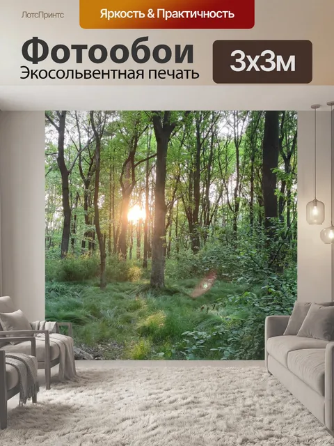 Фотообои Солнце в лесу