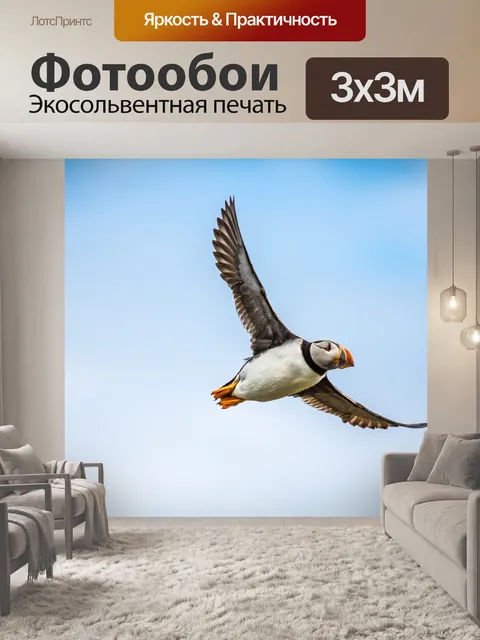 Фотообои Тупик