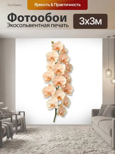 Фотообои Кремовые орхидеи на светлом фоне