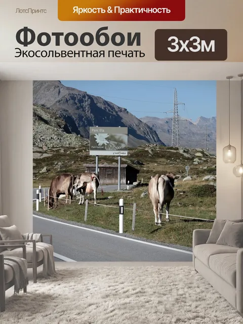 Фотообои Горных коров