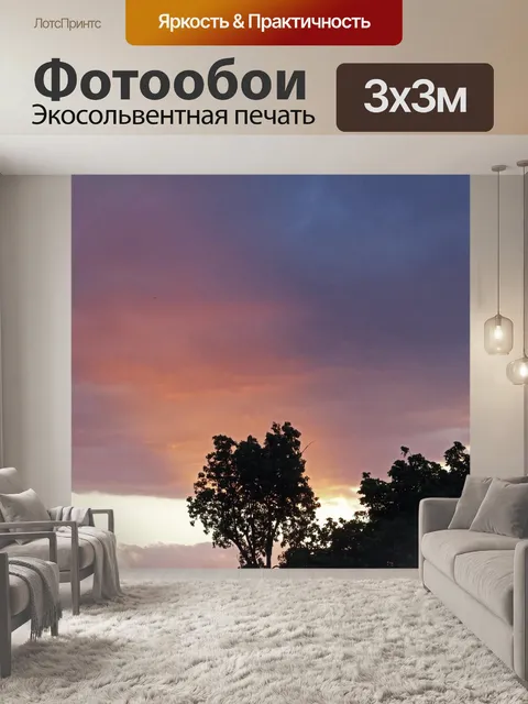 Фотообои цвета заката в небе с деревьями