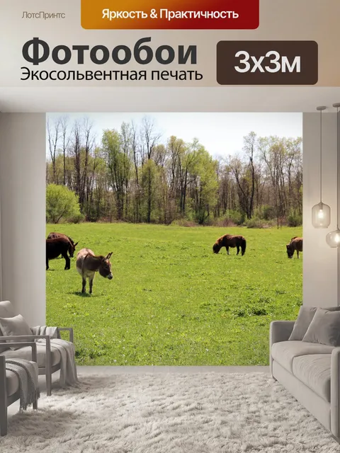 Фотообои Ослы и пони