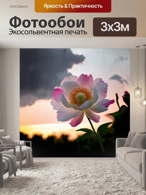 Фотообои на фоне облачного заката расположен белый пион, отливающий розовыми и желтыми оттенками