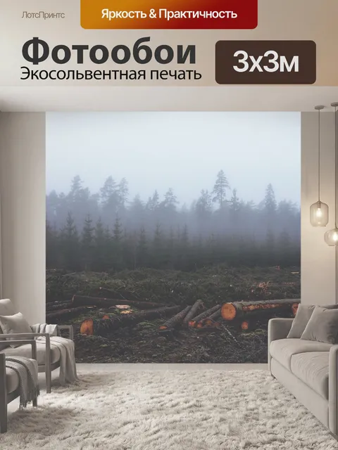 Фотообои Вырубка леса