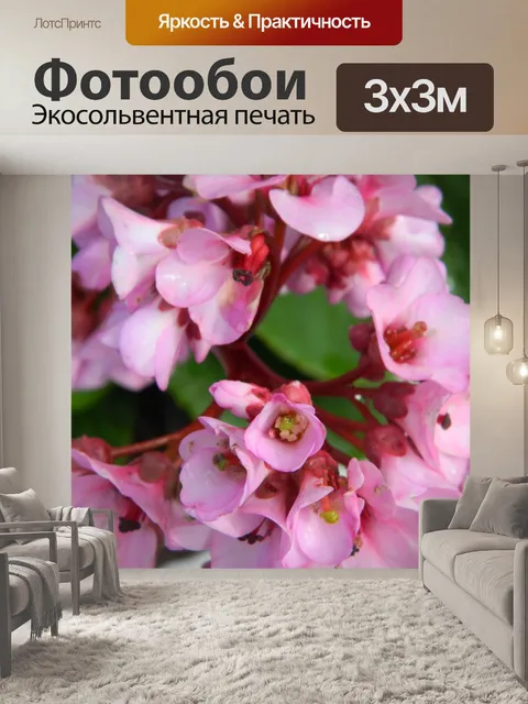 Фотообои Розовые цветы