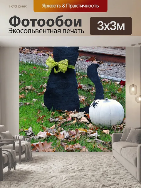 Фотообои Черный кот, тыквы и Паук