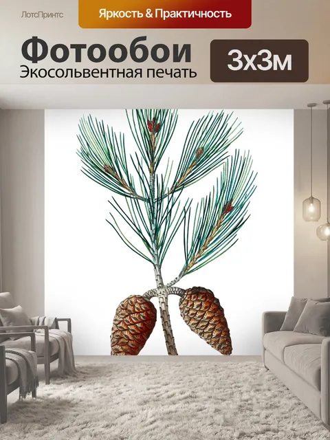 Фотообои Винтажный клипарт еловые ветки шишек