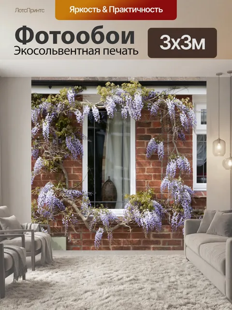 Фотообои Глициния Окно