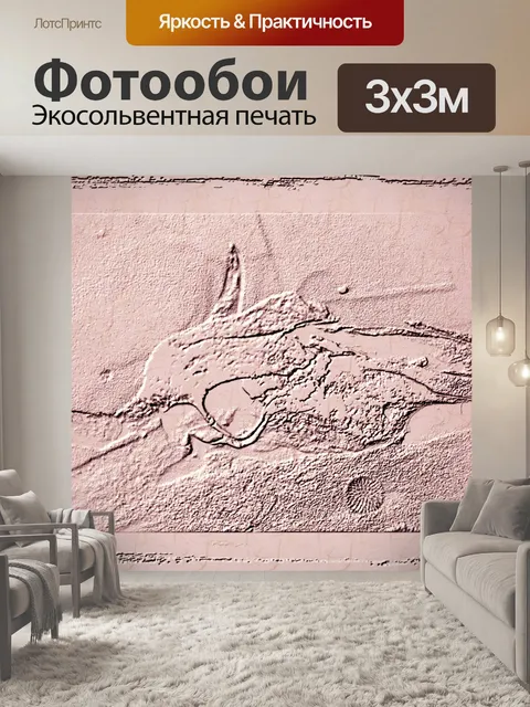Фотообои Череп и Ежик Бог 1