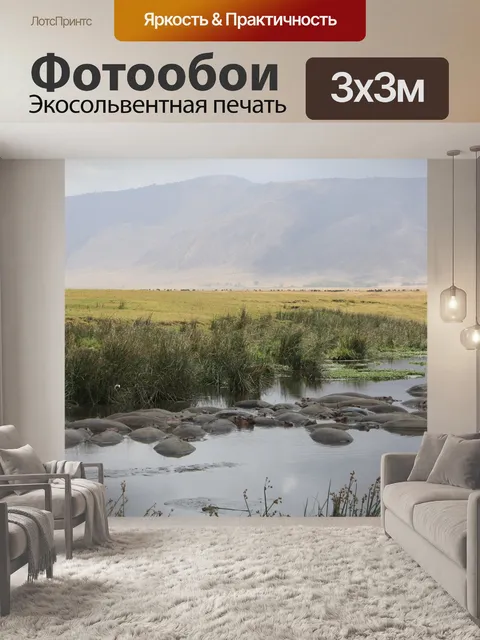 Фотообои Африке