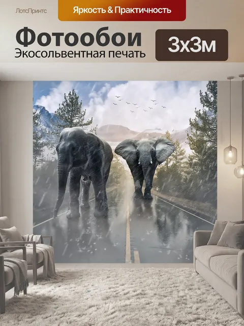 Фотообои Слон