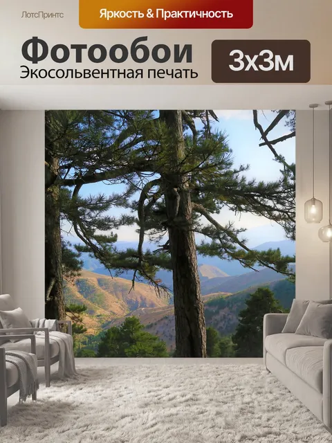 Фотообои Максимумы