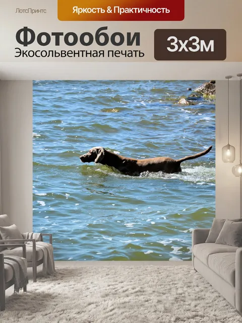 Фотообои Плавание