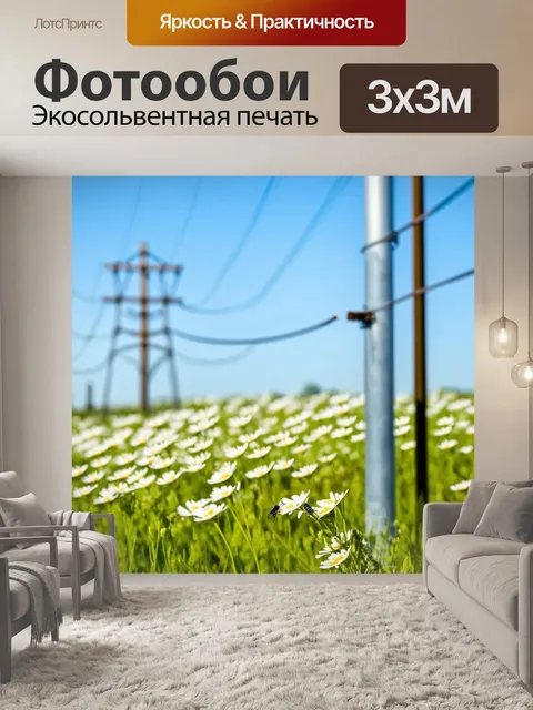 Фотообои силовые линии проходят через цветущий луг