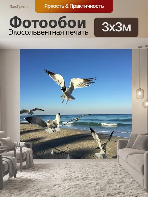Фотообои Чайка