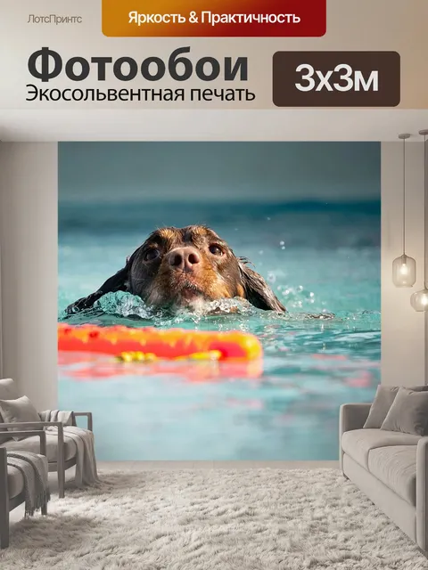 Фотообои Собака