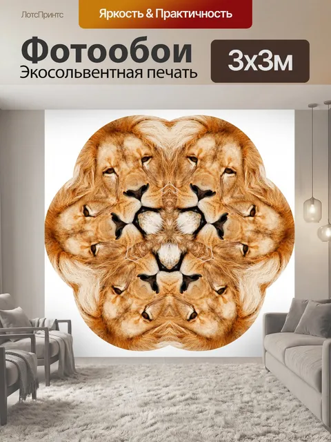 Фотообои Морской гребешок лев