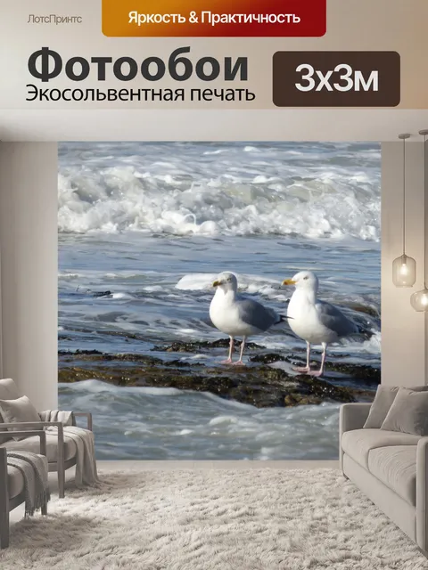 Фотообои Пара чайки на берегу моря