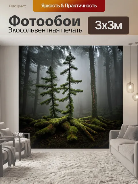 Фотообои в туманном лесу, где еловые деревья стоят, как стражи в белесом облаке