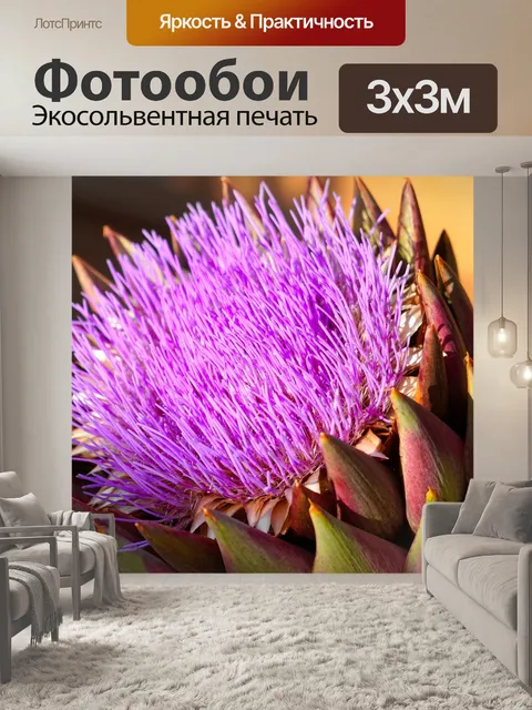 Фотообои Артишок