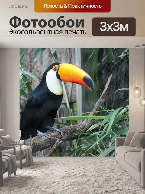 Фотообои Тукан