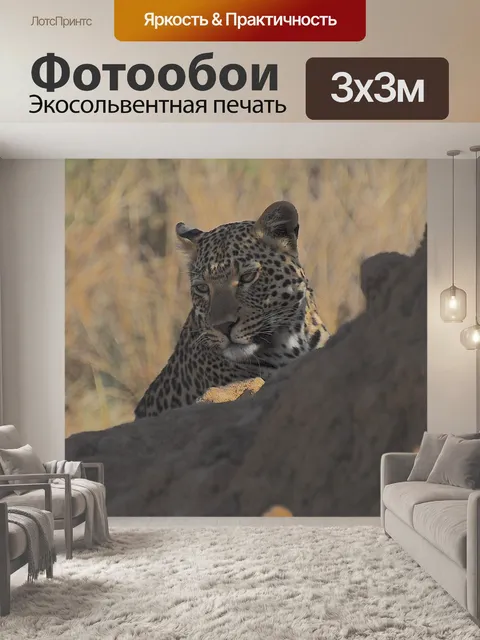 Фотообои Леопард