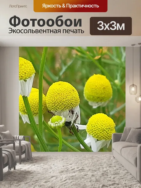 Фотообои Желтые цветы