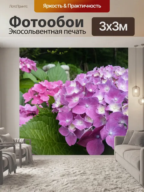 Фотообои Гортензия