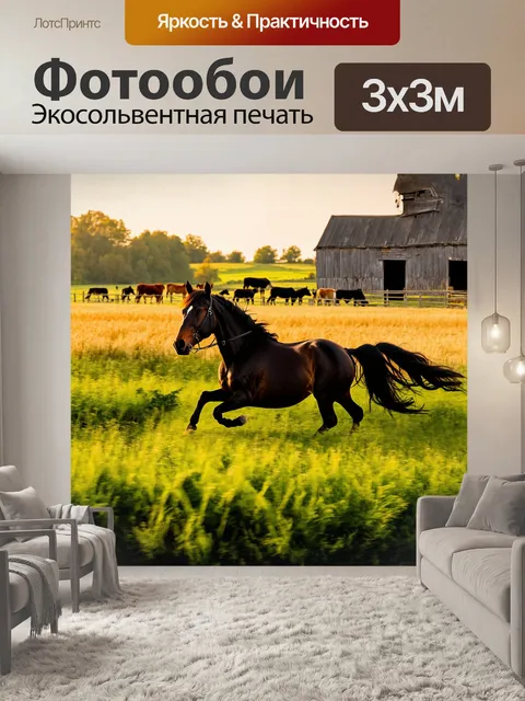 Фотообои черная лошадь majestically бродит по живописному полю