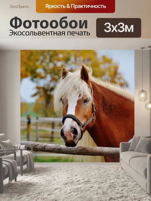 Фотообои Лошадь