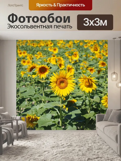 Фотообои Подсолнухи