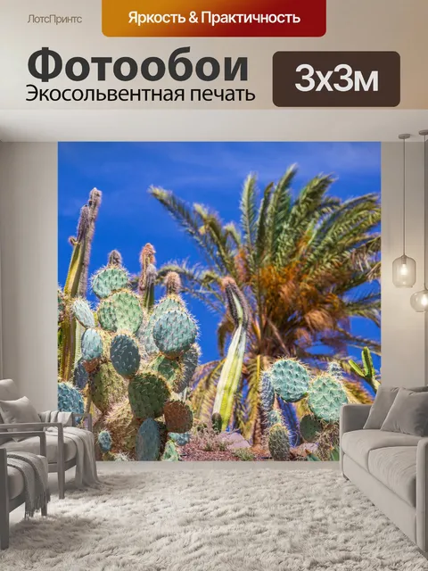 Фотообои Кактусы и пальмы
