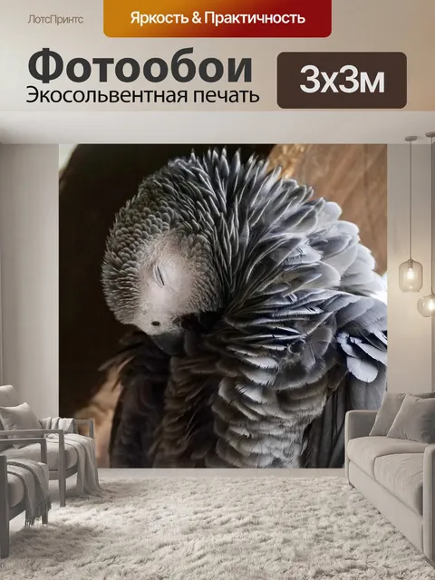 Фотообои Попугай