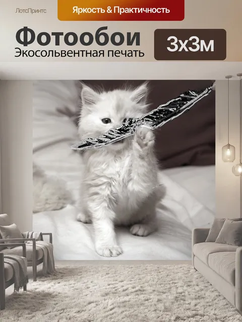 Фотообои Мейн кун