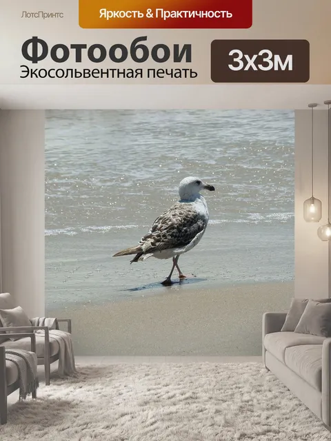Фотообои Чайка