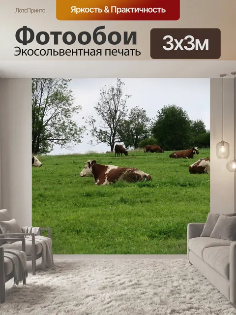 Фотообои Коровы