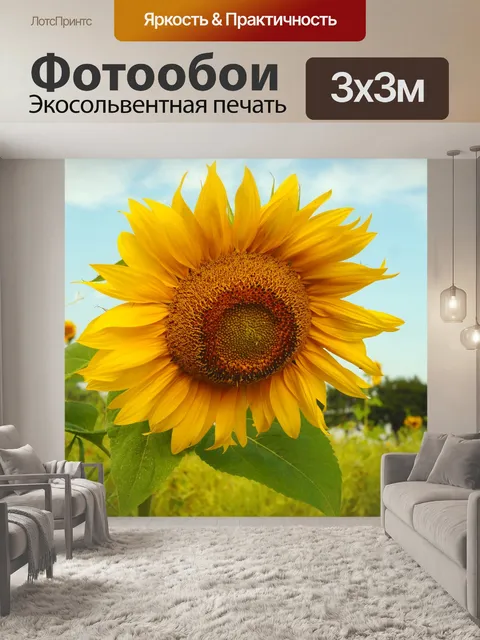 Фотообои Подсолнух осень природа цветы
