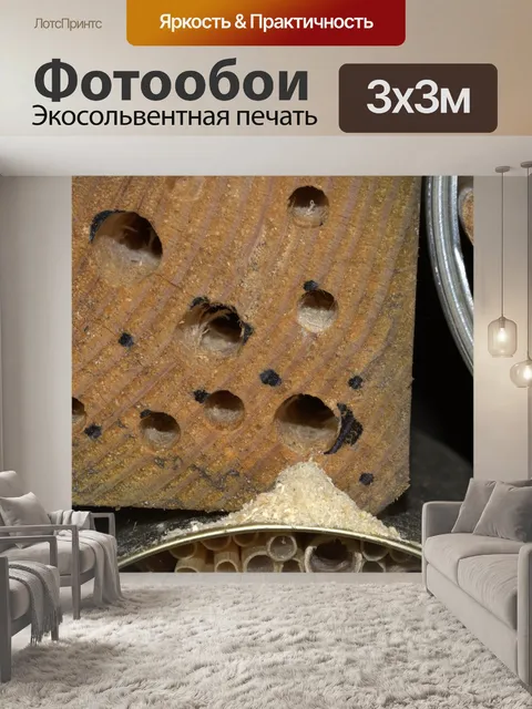 Фотообои Отель с насекомыми