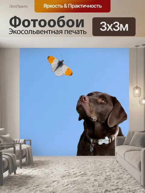 Фотообои Собака часы Butterfly