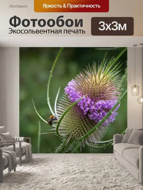 Фотообои Шмель, пчела, ворсянка