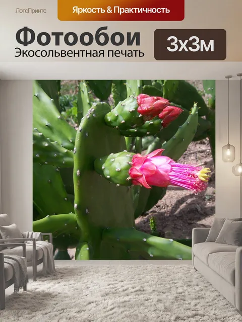 Фотообои Цветок