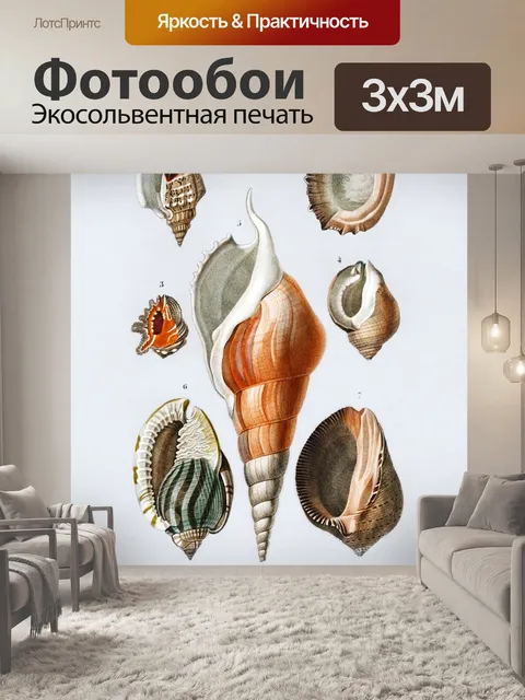 Фотообои Ракушки тропического винтажного искусств