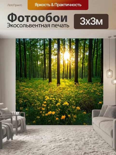 Фотообои ночные цветы, пробуждение мечты, тепло солнечного света