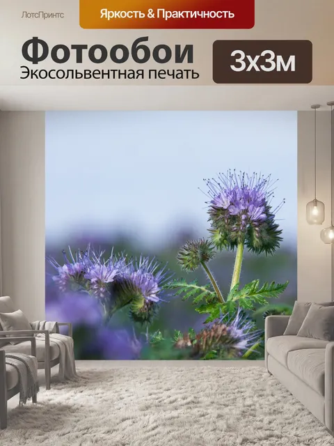 Фотообои Синий