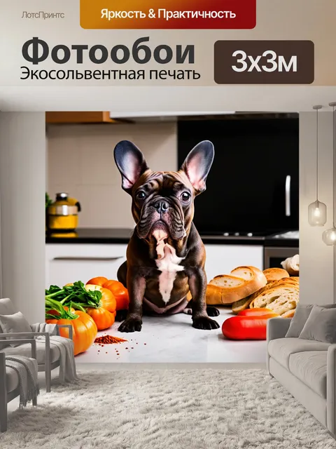 Фотообои французский бульдог, сидящий на кухонном столе, окруженный кулинарными ингредиентами: овощами, специями и…
